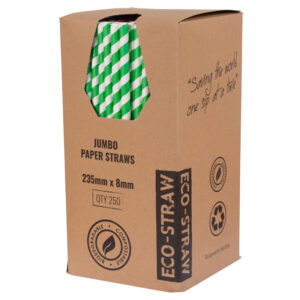 Paper Drinking Straw Jumbo - Green Stripe 24/8
