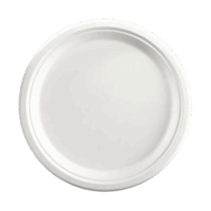 Sugarcane Round Plate - 10''/25cm